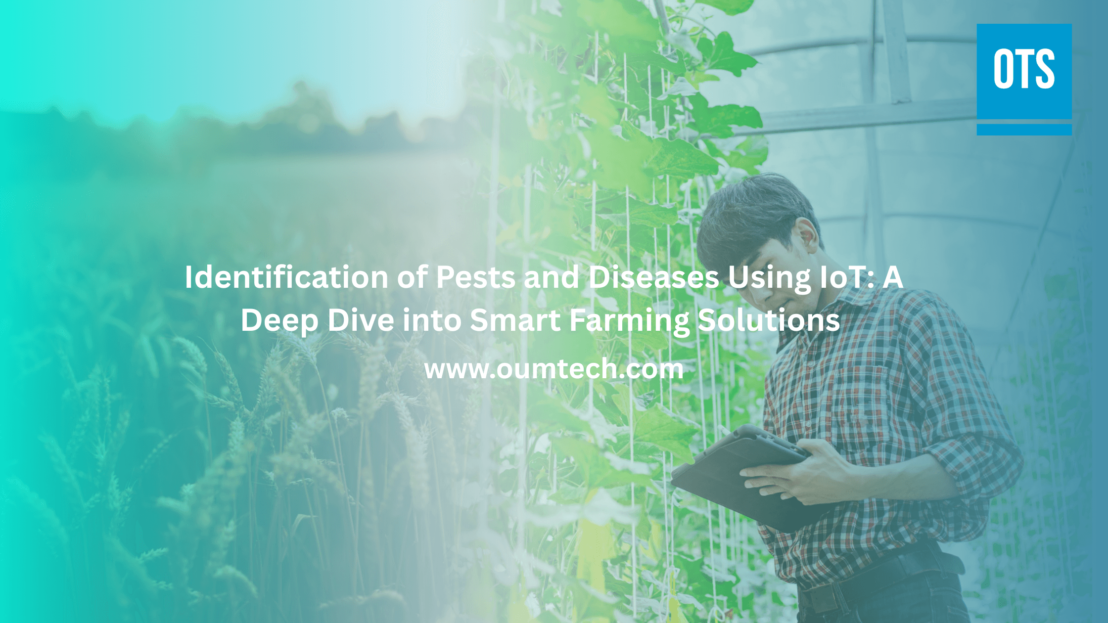 Identification of Pests and Diseases Using IoT: A Deep Dive into Smart Farming Solutions